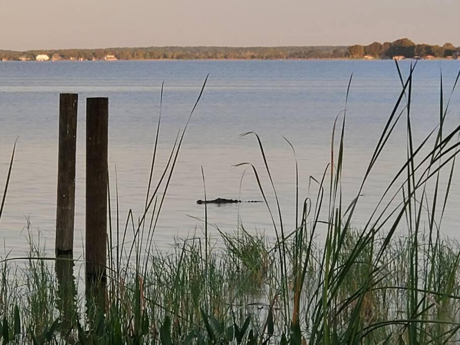 Camp St. Cabanas Unit 2 On Lake Dora Tavares Dış mekan fotoğraf