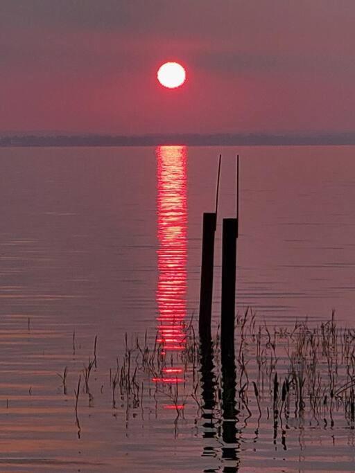 Camp St. Cabanas Unit 2 On Lake Dora Tavares Dış mekan fotoğraf
